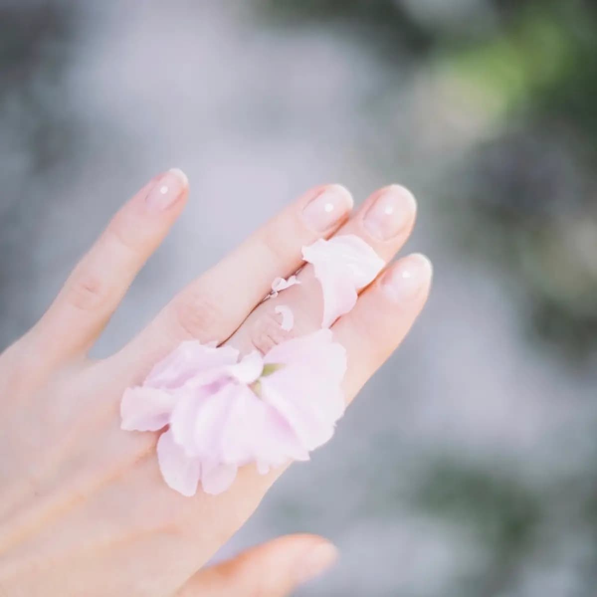 Nails — Luster Vault
